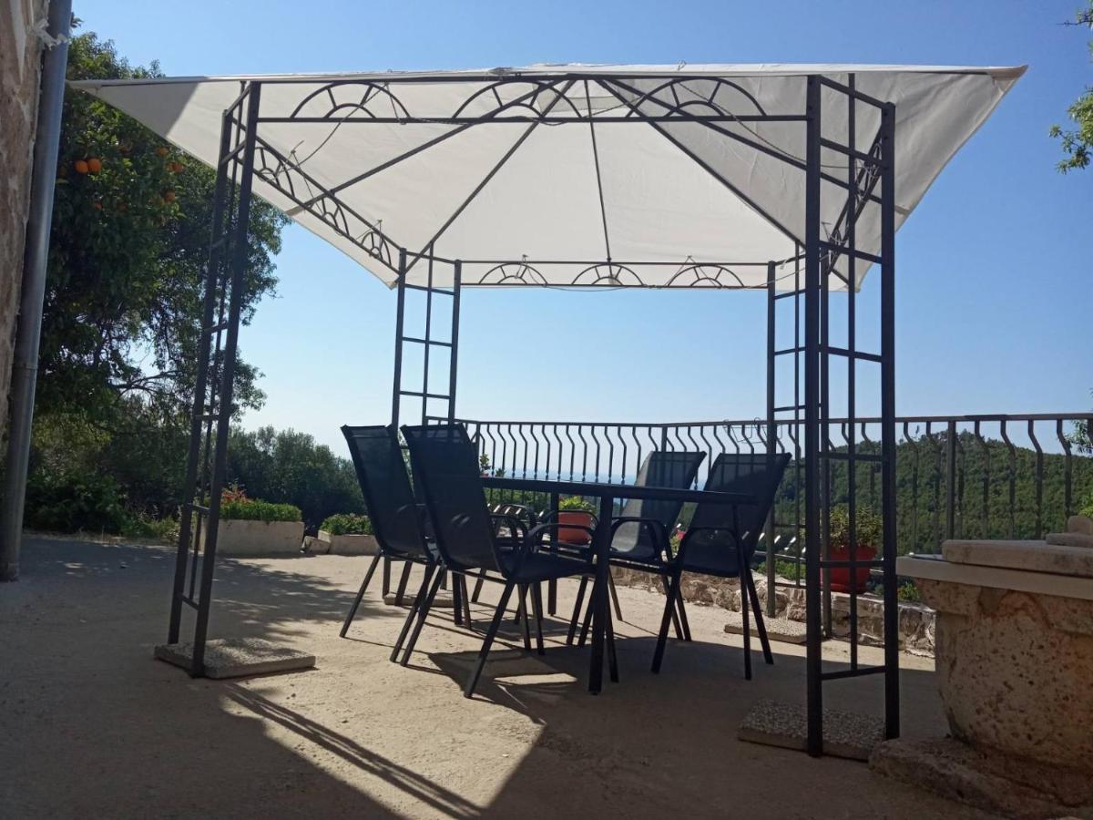 Holiday Apartments Maslina Paho Babino Polje Экстерьер фото