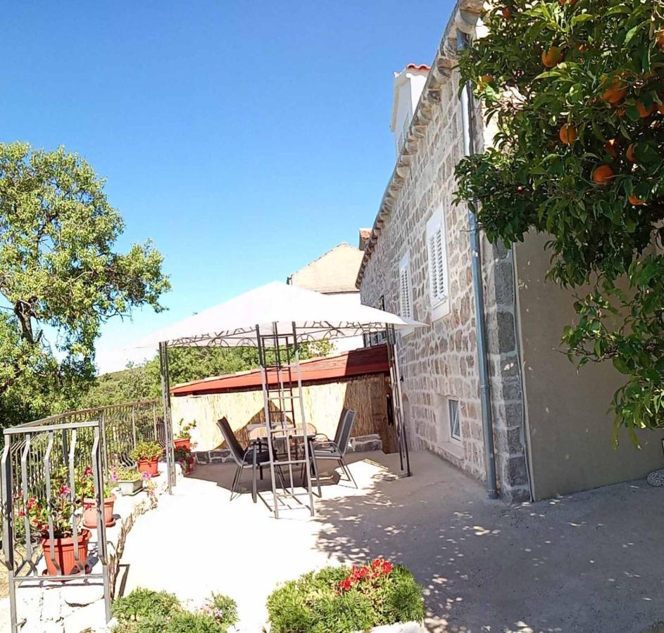 Holiday Apartments Maslina Paho Babino Polje Экстерьер фото