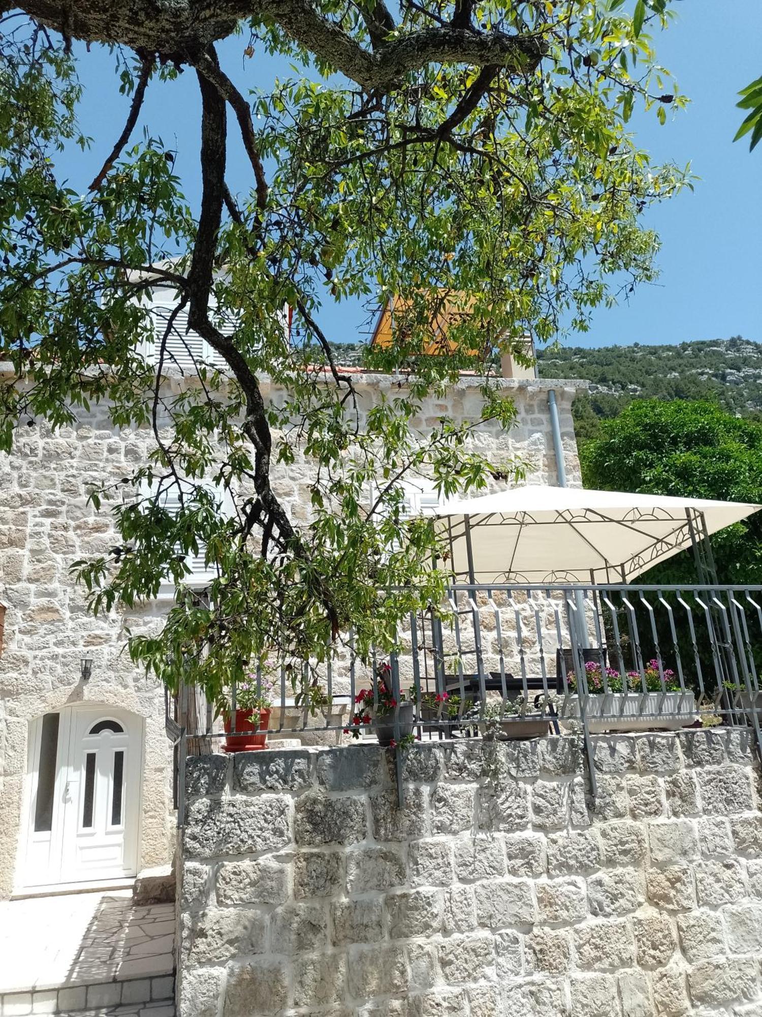 Holiday Apartments Maslina Paho Babino Polje Экстерьер фото