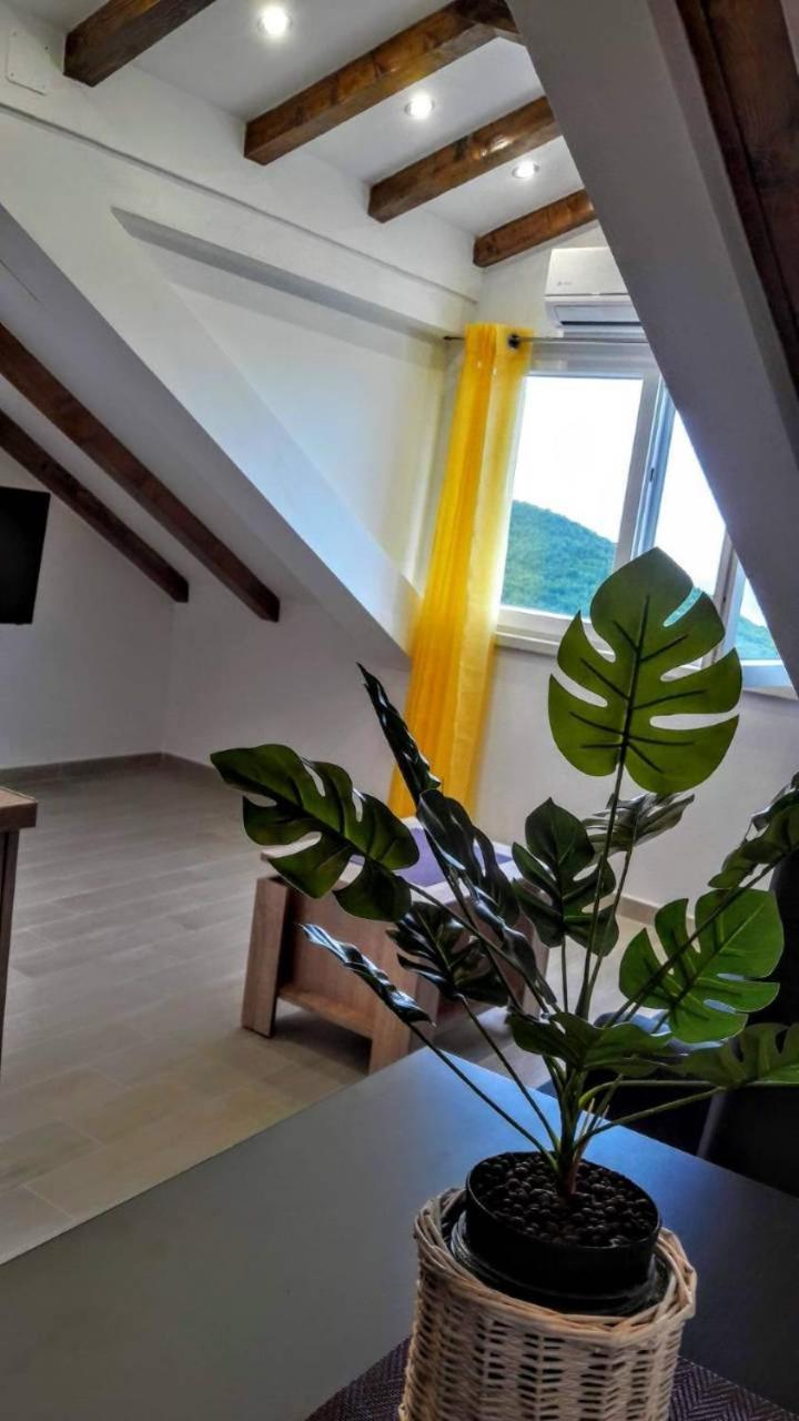 Holiday Apartments Maslina Paho Babino Polje Экстерьер фото