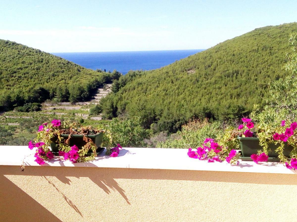 Holiday Apartments Maslina Paho Babino Polje Экстерьер фото